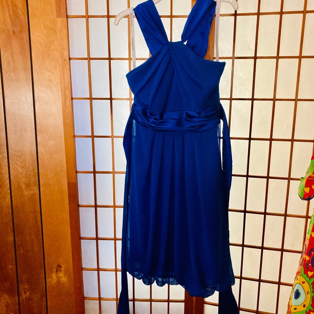 Bridesmaid/Flower Girl Blue Dress David’s Bridal